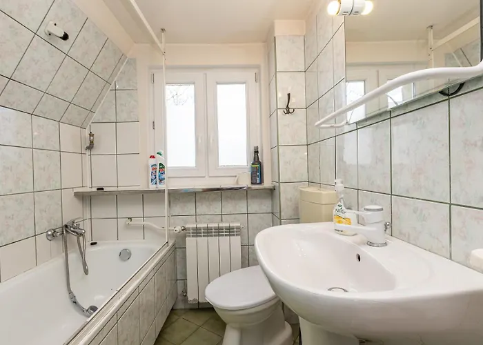 Mountain Spirit Dream By Bookinghost